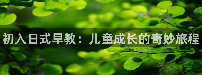 恒行2褚74OOO5：初入日式早教：儿童成长的奇妙旅程