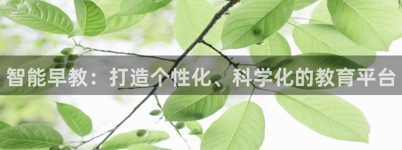恒行娱乐掌74ooo5呀蚕：智能早教：打造个性化、科学化的教育平台