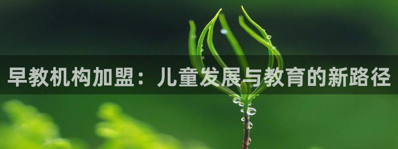 恒行2陈74OOO5：早教机构加盟：儿童发展与教育的新路径