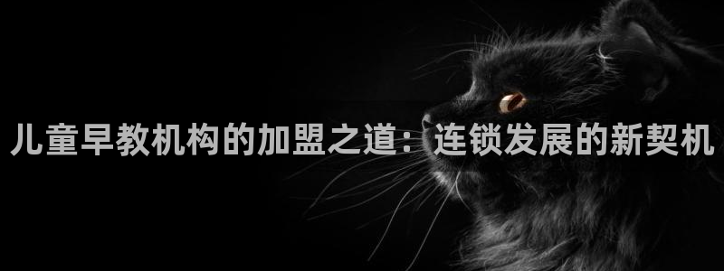 恒行2朱74OOO5：儿童早教机构的加盟之道：连锁发展的新契机