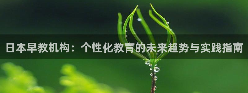 恒行娱乐度74ooo5聘霖：日本早教机构：个性化教育的未来趋势与实践指南