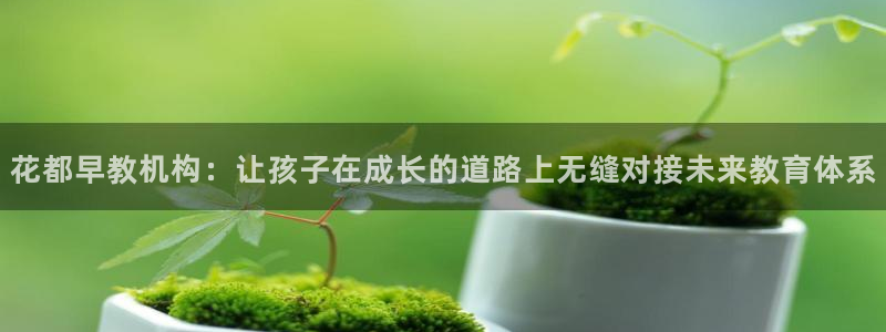 恒行2蒋74OOO5：花都早教机构：让孩子在成长的道路上无缝对接未来教育体系