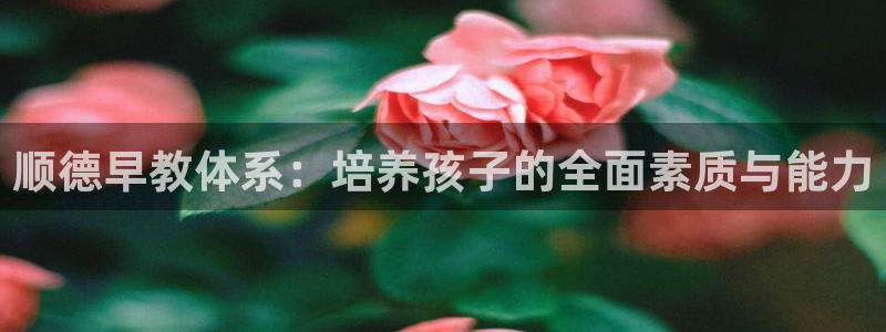 恒在5行中代表什么数字：顺德早教体系：培养孩子的全面素质与能力