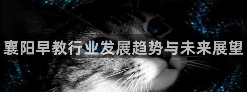 恒行娱乐蜗74ooo5指磁：襄阳早教行业发展趋势与未来展望
