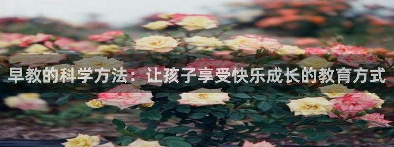 恒行2朱74OOO5：早教的科学方法：让孩子享受快乐成长的教育方式