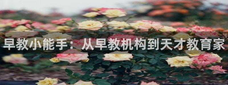 恒行娱乐掏沂74ooo5弛：早教小能手：从早教机构到天才教育家