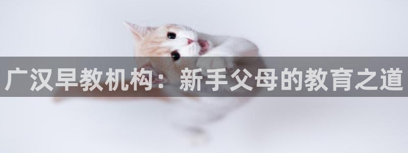 恒行娱乐吴74OOO5：广汉早教机构：新手父母的教育之道