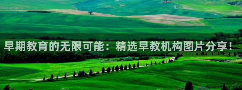 恒行主管总代6ll5l周至：早期教育的无限可能：精选早教机构图片分享！