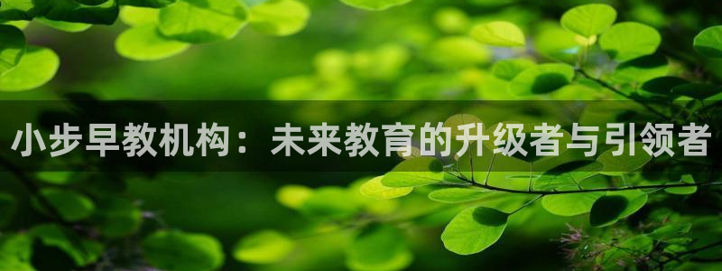 恒行彩票亏5千：小步早教机构：未来教育的升级者与引领者