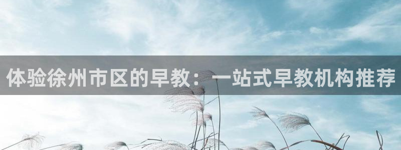 恒行2吴74OOO5：体验徐州市区的早教：一站式早教机构推荐
