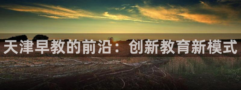 恒行2那74OO5：天津早教的前沿：创新教育新模式