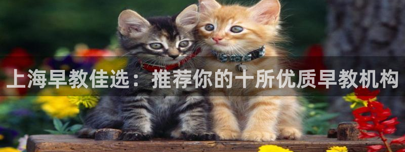 恒行娱乐陈74OOO5：上海早教佳选：推荐你的十所优质早教机构