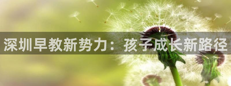 恒行2陈74OOO5:深圳早教新势力:孩子成长新路径