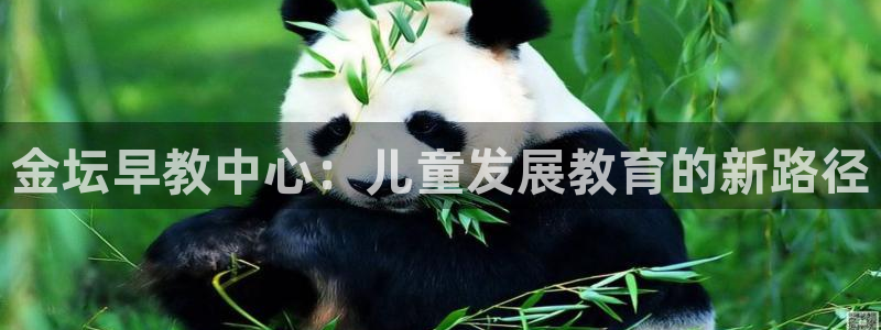 恒行娱乐冯74OOO5:金坛早教中心:儿童发展教育的新路径