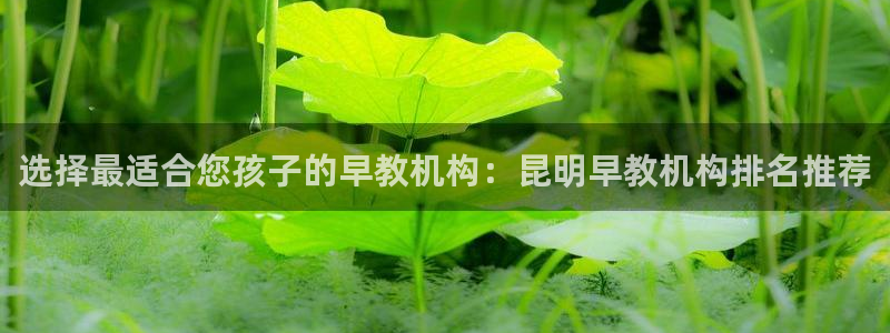 恒行娱乐河沂74ooo5程：选择最适合您孩子的早教机构：昆明早教机构排名推荐