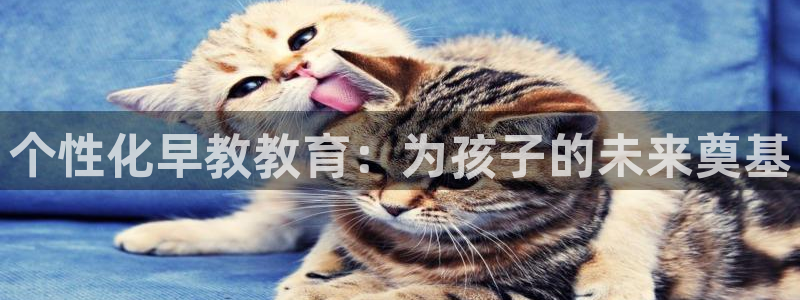 恒行娱乐蒋74OOO5：个性化早教教育：为孩子的未来奠基