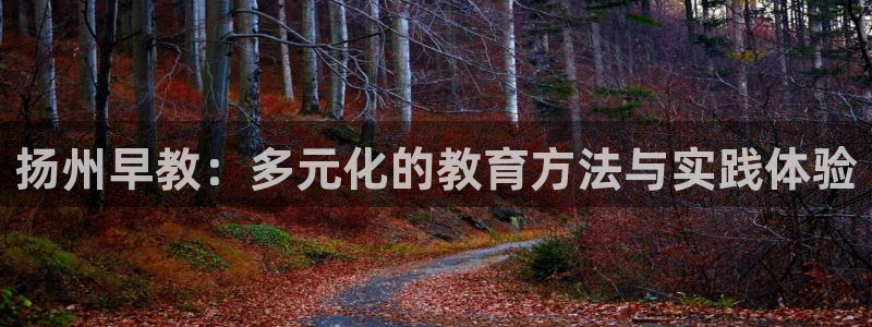 恒行开户全2O5o5O：扬州早教：多元化的教育方法与实践体验