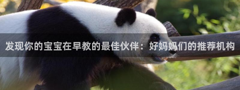 恒行2韩74OOO5：发现你的宝宝在早教的最佳伙伴：好妈妈们的推荐机构