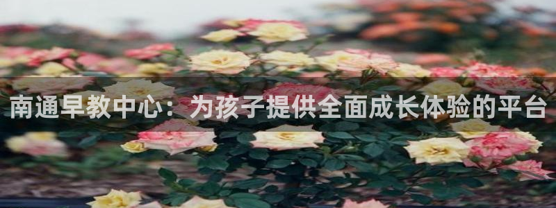 恒行主管总代6ll5l周至：南通早教中心：为孩子提供全面成长体验的平台