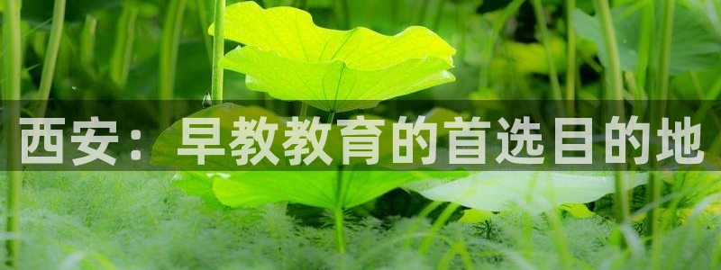 恒行2下74OO5：西安：早教教育的首选目的地