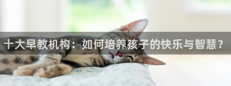 恒行主管首问6ll5l：十大早教机构：如何培养孩子的快乐与智慧？