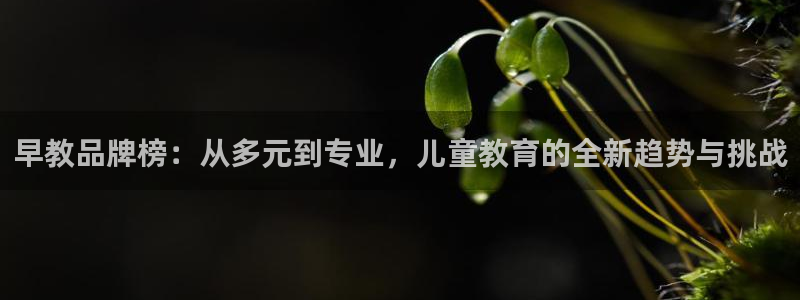 恒行2王74OOO5：早教品牌榜：从多元到专业，儿童教育的全新趋势与挑战