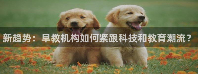 恒行2蒋74OOO5：新趋势：早教机构如何紧跟科技和教育潮流？