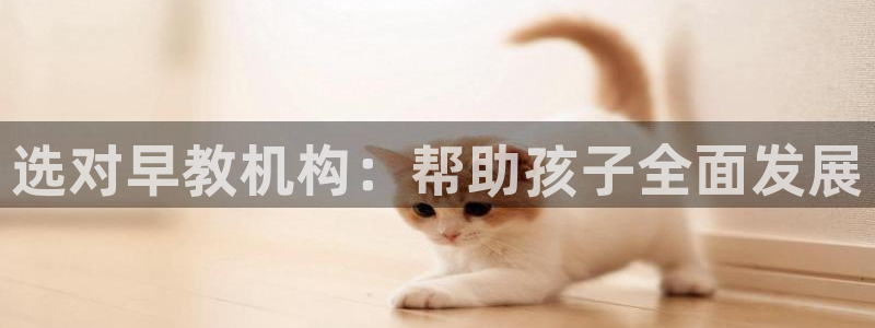恒行2那74OO5：选对早教机构：帮助孩子全面发展