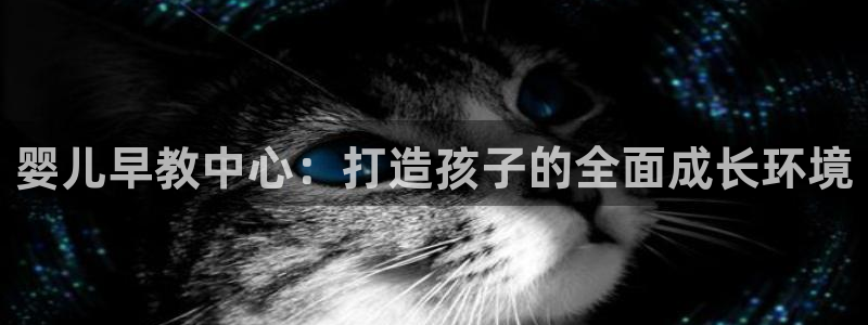 恒行2韩74OOO5：婴儿早教中心：打造孩子的全面成长环境