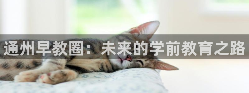 恒行娱乐热74ooo5主宰：通州早教圈：未来的学前教育之路