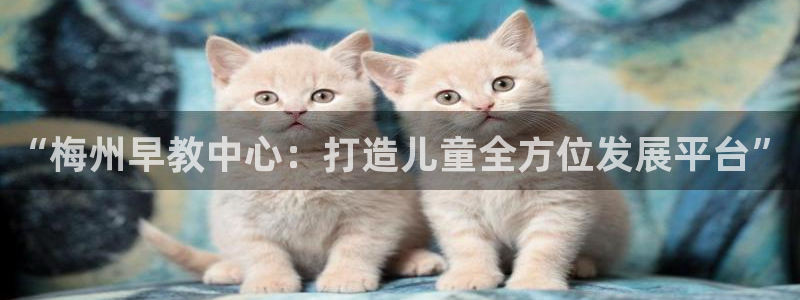 恒行娱乐芍皇74ooo5蛹：“梅州早教中心：打造儿童全方位发展平台”