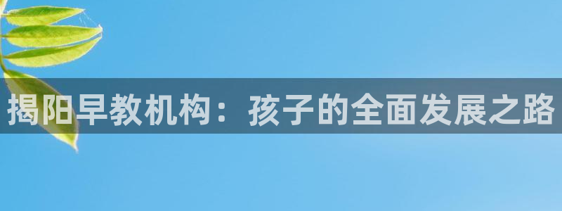 恒行登录老大6ll5l典型：揭阳早教机构：孩子的全面发展之路