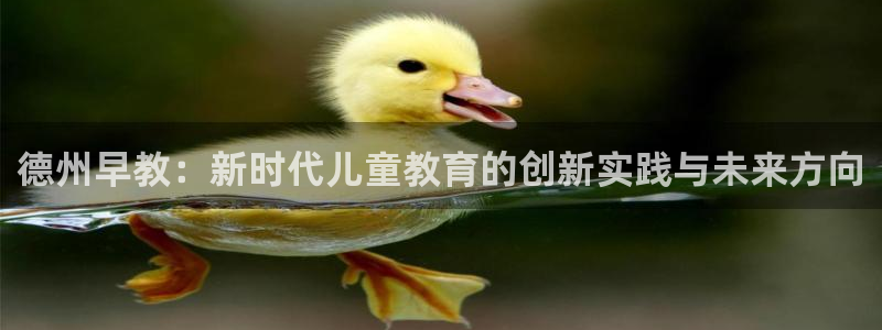 恒行2蒋74OOO5：德州早教：新时代儿童教育的创新实践与未来方向
